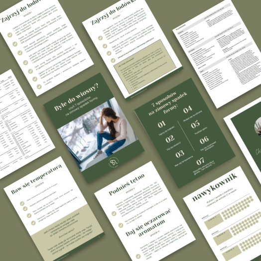 mini ebook